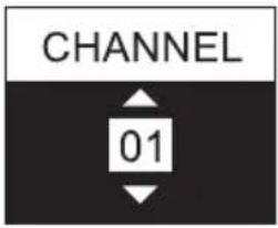 LD Systems LDSU50 - AJUSTE DEL CANAL DE FRECUENCIA (CHANNEL) - 2