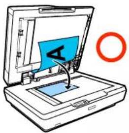 EPSON SCT3100M - Positionnement de documents dans le scanner - 1