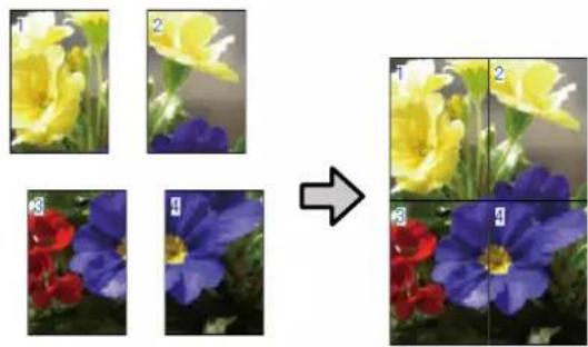 EPSON SCT3100M - Impression de poster (Windows uniquement) - 1