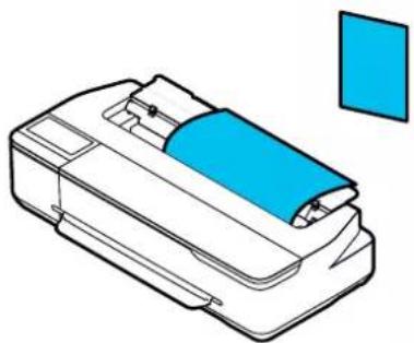 EPSON SCT3100M - Feuille coupée (1 feuille) - 1
