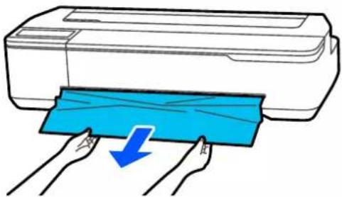 EPSON SCT3100M - Résolution des problèmes - 2