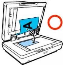 EPSON SCT5400M - Positionnement de documents dans le scanner - 1