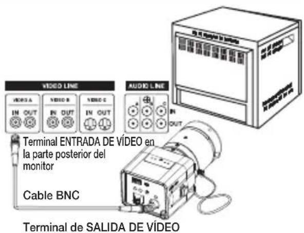 SAMSUNG SCCB1011P - Conexión de los cables y comprobación de su funciona - 1