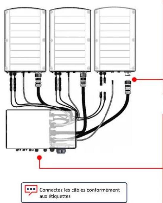 SolarEdge SE100KRW00IBNQ4 - Branchement des câbles d'interconnection - 1