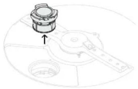 Fisher & Paykel DD24DT2NX9 - Removing and cleaning the drain filter - 1