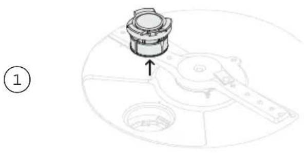 Fisher & Paykel DD24ST4NX9 - Retrait et nettoyage du filtre de vidange - 1