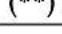 Fein WSG 7115 - Symbols, abbreviations and terms used. - 19