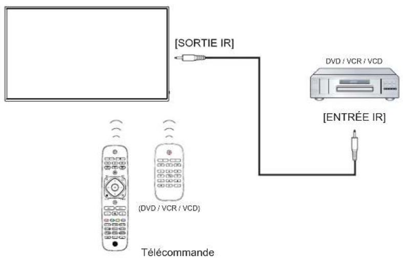 HP LD5511 - Connexion IR Pass-through - 1