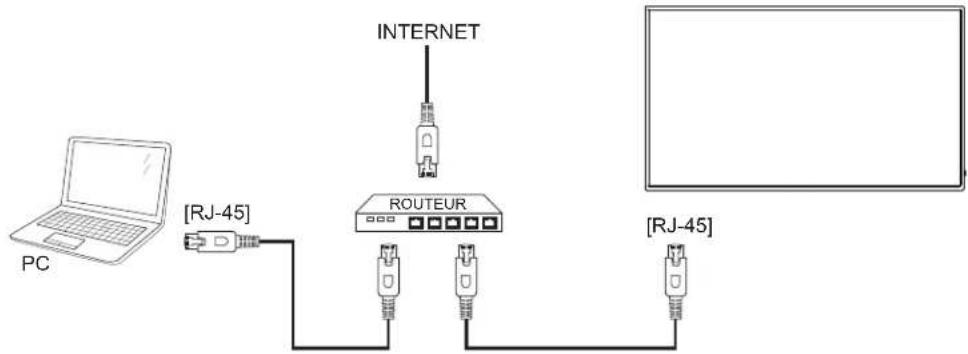 HP LD5511 - Connexion câblée au réseau - 1