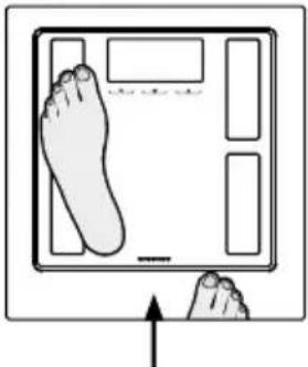 SOEHNLE Shape Sense Connect 100 - BMI - 18
