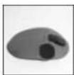 Peltor SportTac - 17