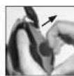 Peltor SportTac - 15
