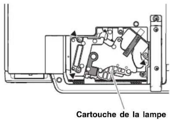 CASIO XJS48 - Important! - 3