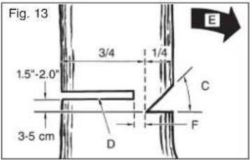Hurricane MKS 4245 - DIRETTIVE GENERALI PER L'ABBATTIMENTO DI ALBERI - 2