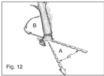Hurricane MKS 4245 - FELLING A TREE: - 3