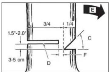 Hurricane MKS 4245 - ALLGEMEINE RICHTLINIEN FÜR DAS FÄLLEN VON BÄUMEN (Abb. 13) - 2