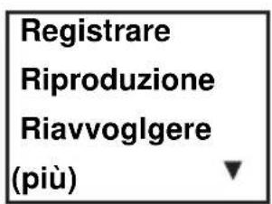 Registrare Riproduzione Riavvoglgere (più)