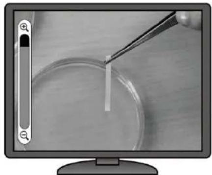 Elmo TTL1 - ■REGLAGE DE LA TAILLE - 5