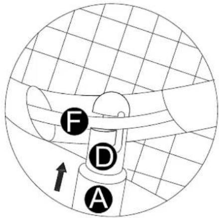 F D A