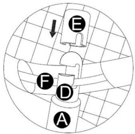 E F D A