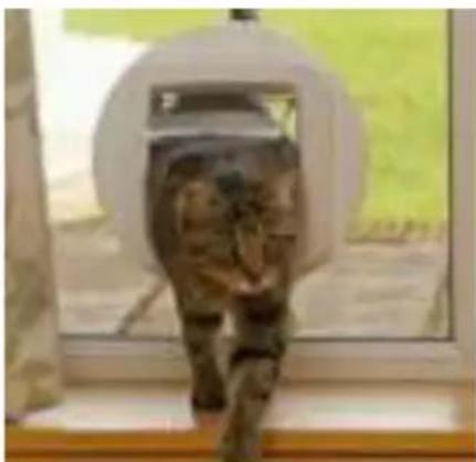 SureFlap Microchip Cat Flap - Aviso importante 105 - 33