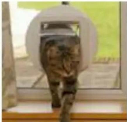 SureFlap Microchip Cat Flap - Aviso importante 105 - 13