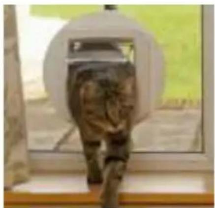 SureFlap Microchip Cat Flap - Inhaltsverzeichnis - 11