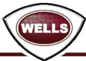 Wells HDG6030G - Wells Bloomfield proudly supports CFESA Commercial Food Equipment Service Association - 2