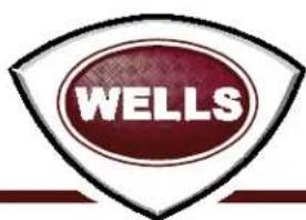 Wells HDG3630G - Wells Bloomfield proudly supports CFESA Commercial Food Equipment Service Association - 2