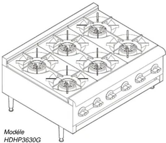 Wells HDHP2430G - DE LA PLAQUE CHAUFFANTE PROFESSIONNELLE AU GAZ WELLS - 1