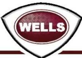 Wells HDHP2430G - POUR VOTRE SECURITE - 2