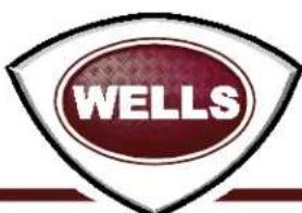 Wells HDCB3630G - Wells Bloomfield proudly supports CFESA Commercial Food Equipment Service Association - 2