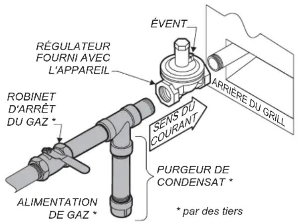 Wells HDHP1230G - INSTALLATION DU GRILL À GAZ - 1