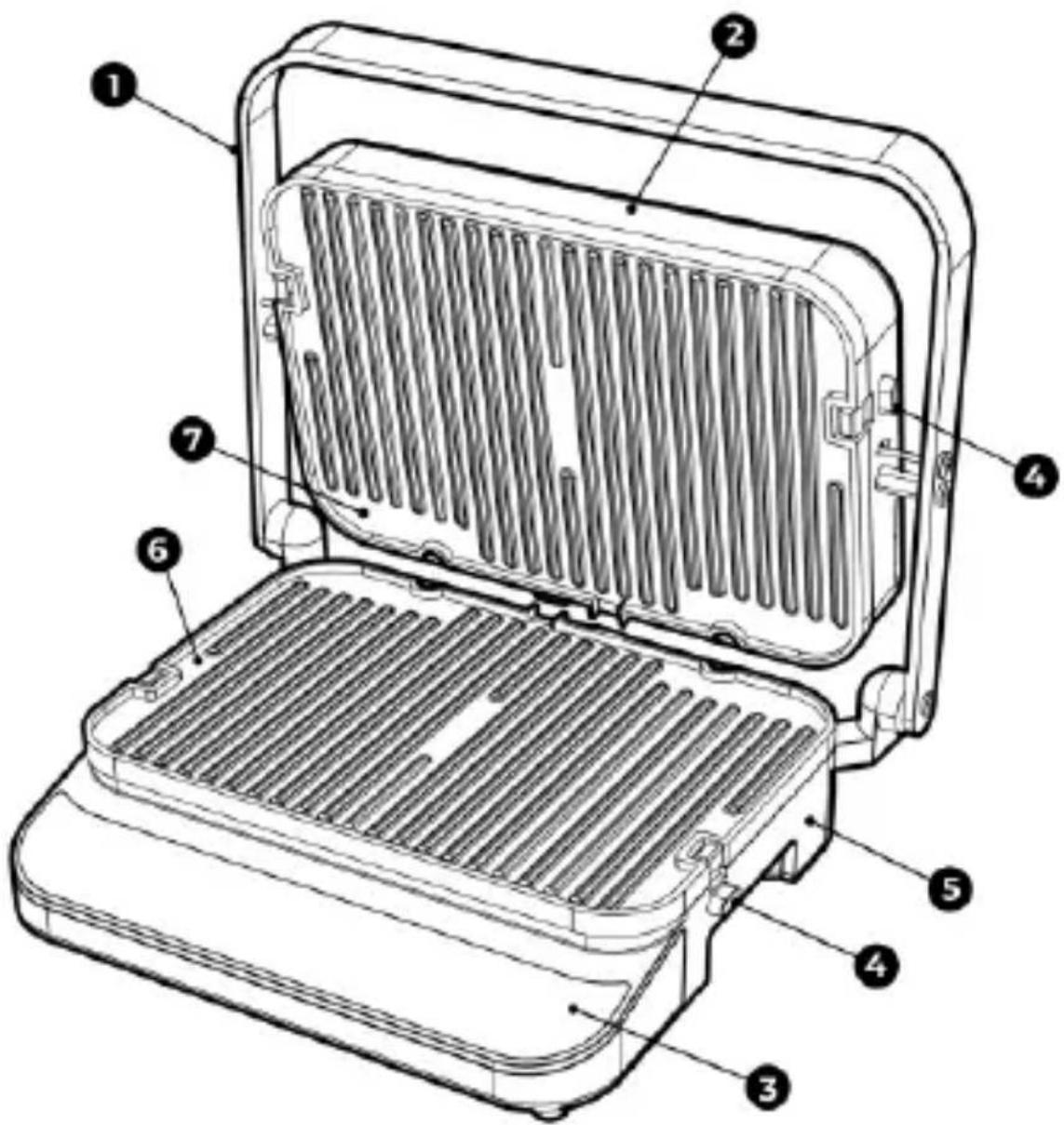 AENO EG5 - EG5 - 2