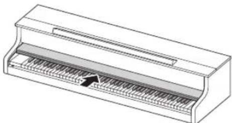 CASIO Celviano AP700 - Couvercle du clavier - 1