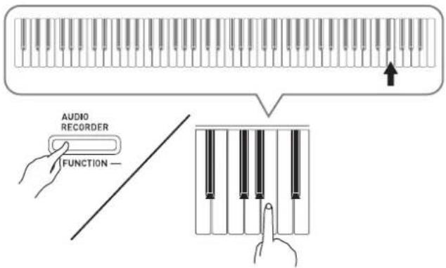 CASIO Privia PXA800BN - IMPORTANT! - 1