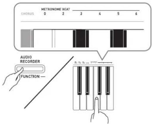 CASIO Privia PXA800BN - Pour changer la mesure, appuyez sur le bouton FUNCTION tout en tenant les touches METRONOME BEAT enfoncées pour sélectionner une mesure. - 1