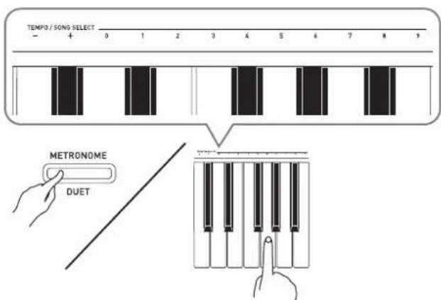 CASIO Privia PXA800BN - Tout en tenant le bouton METRONOME enfoncé, utilisez les touches TEMPO pour spécifier un tempo de 20 à 255 battements par minute. - 1