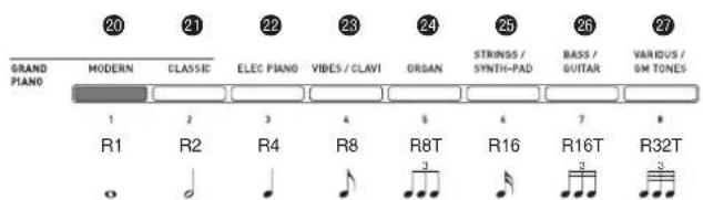 CASIO Celviano AP6BP - Résolution - 1