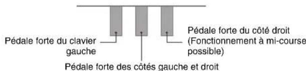 CASIO Celviano AP6BP - Fonctionnement des pédales lors d'une interprétation à quatre mains - 1