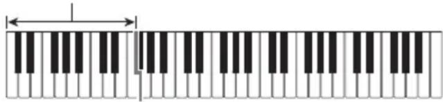 CASIO LK266 - Accompagnement automatique avec accords - 1