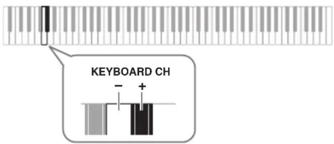 CASIO CDP135 - Tout en tenant ④ enfoncé, appuyez sur la touche moins (−) ou plus (+) dans la section KEYBOARD CH du clavier pour changer le canal du clavier. - 2
