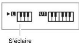 CASIO CDP235R - Appuyez sur 27. - 1