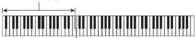 CASIO CDP235R - Accompagnement automatique avec accords - 1