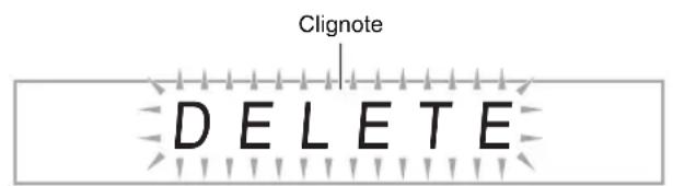 CASIO CDP235R - IMPORTANT! - 1