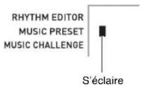 CASIO CDP235R - Utilisation d'un préréglage musical - 2