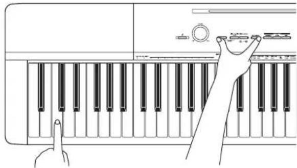 CASIO Privia PXA100RD - Changement des octaves des claviers pour l'interprétation à quatre mains - 1