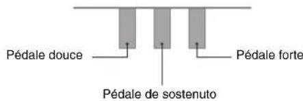 CASIO Privia PXA100BE - - Pédale de sostenuto - 1