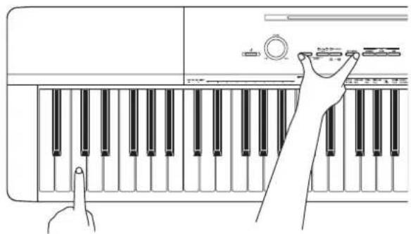 CASIO Privia PXA100BE - Changement des octaves des claviers pour l'interprétation à quatre mains - 1