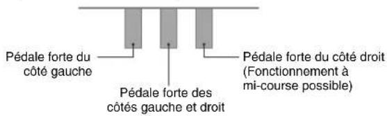 CASIO Privia PXA100BE - Fonctionnement des pédales lors d'une interprétation à quatre mains - 1